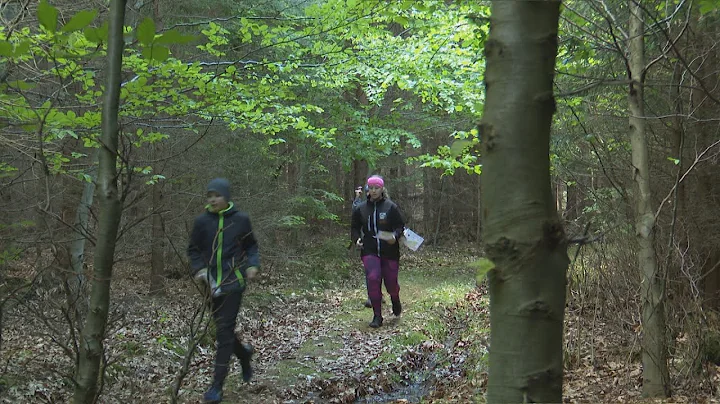 Les, mapa a  kontroly patria k orientačnému behu