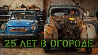 Двадцать лет в огороде. Москвич 401. Заведём или нет?