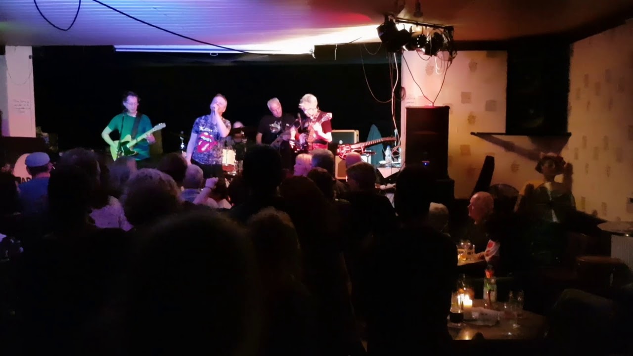 Stromgitarren im Kleingarten