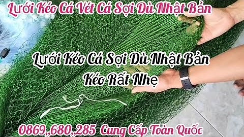 Lưới Kéo Cá - Lưới Vét Cá Sợi Dù Nhật Bản - Lưới Kéo Cá Ao Sông Hồ Đầm Ruộng Lúa Lưới kéo cá tôm tép