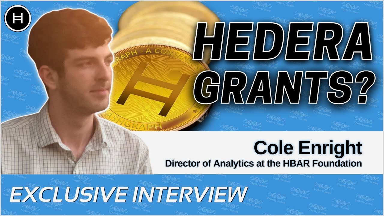 Cole Enright on Applying for Hedera Hashgraph Grants from the HBAR  Foundation