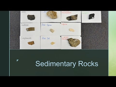 Sedimentary Rocks and How to identify