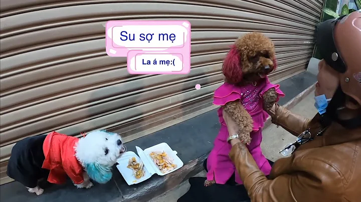 Episode 5: Found SU XI XON - SU collects papers to earn money to buy food for his little brother ...