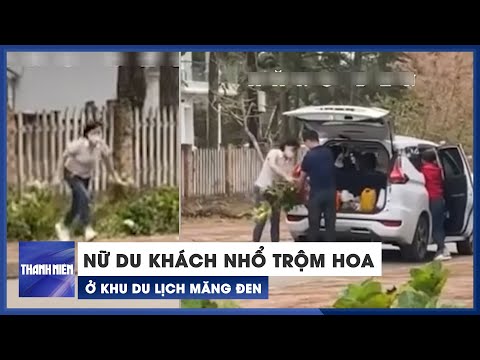 #2023 Nữ du khách nhổ trộm hoa ở khu du lịch Măng Đen