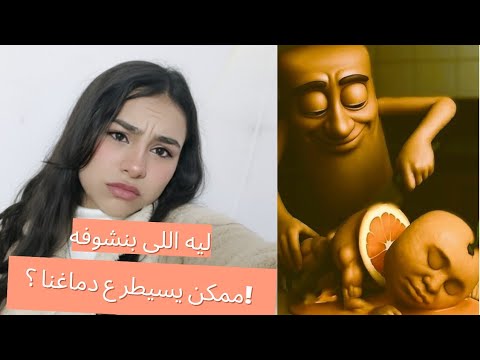 ليه اللى بنشوفه ممكن يسيطر ع دماغنا تأثير العنـ ف ع الدماغ حادث الاسماعليه 