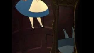 Down the Rabbit Hole