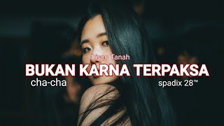 BUKAN KARNA TERPAKSA - CHA CHA NEW - SPADIX 28 DISCO TANAH