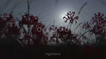 Anthesis -  。。。(Full Album)