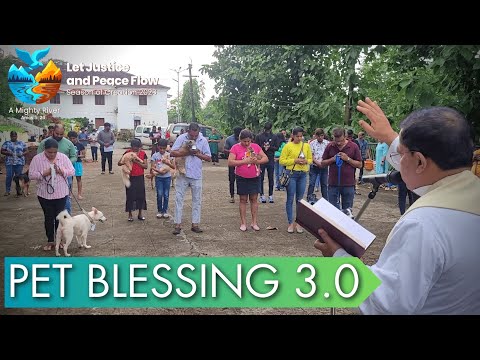 Pet Blessing 3.0 - Season of Creation 2023