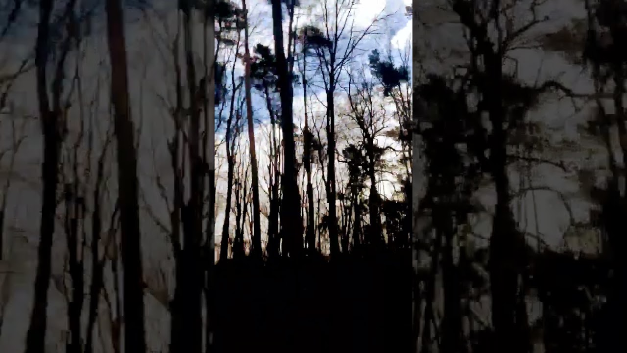 Dead Can Dance - Serverance auf YouTube ansehen Dead Can Dance - Serverance auf YouTube ansehen