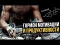 Кортизол - гормон Мотивации и Продуктивности (Развитие и успех в жизни)