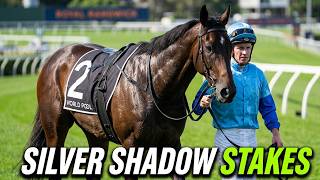 PEMBREY WINS THE SILVER SHADOW STAKES