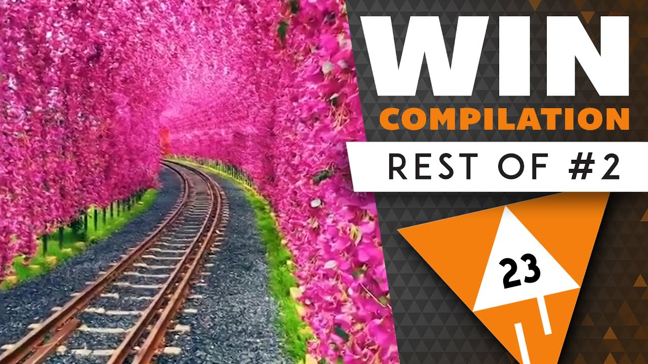 WIN Compilation: What we missed in 2021... (Rest of) | LwDn x WIHEL