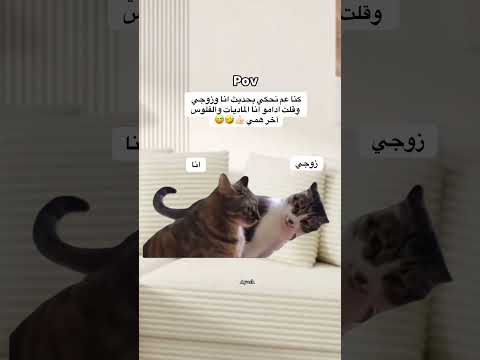 حصلل اكسبلور      