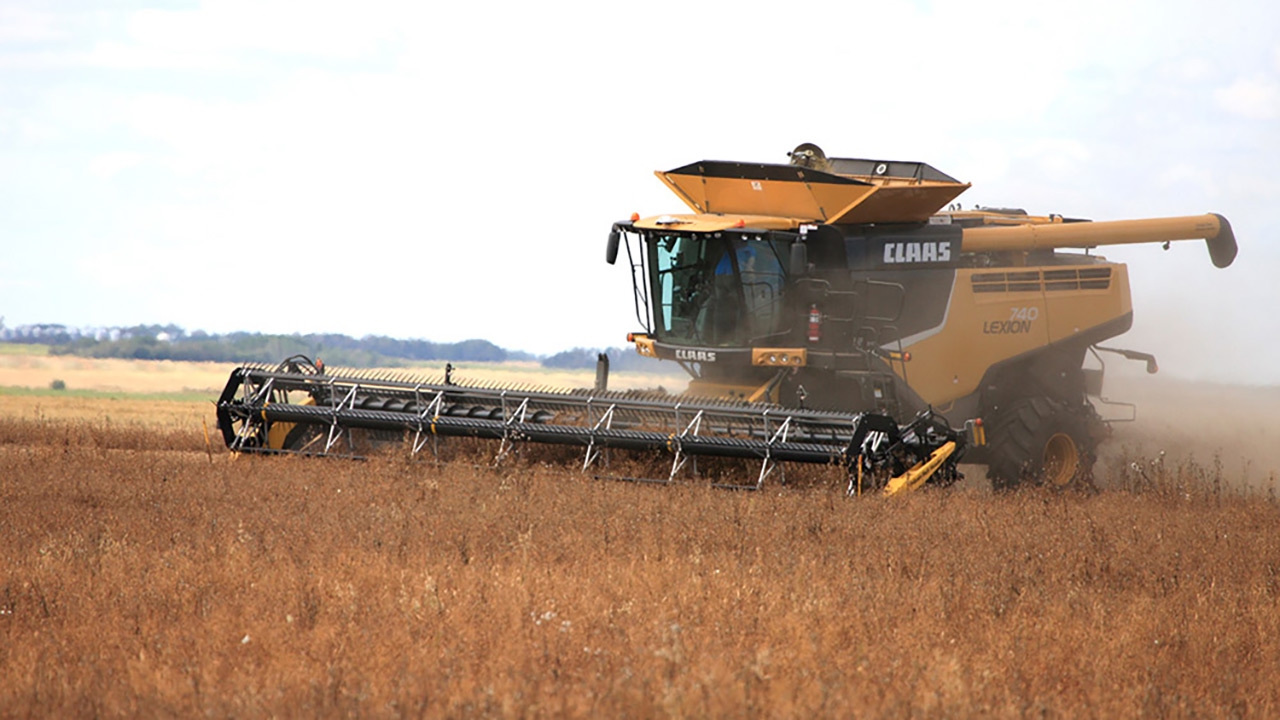 Edgeley Wheat | WE ARE THE BEST