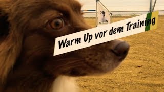 Warm Up für Hunde vor dem Sport [Hundesport - Hundetraining]