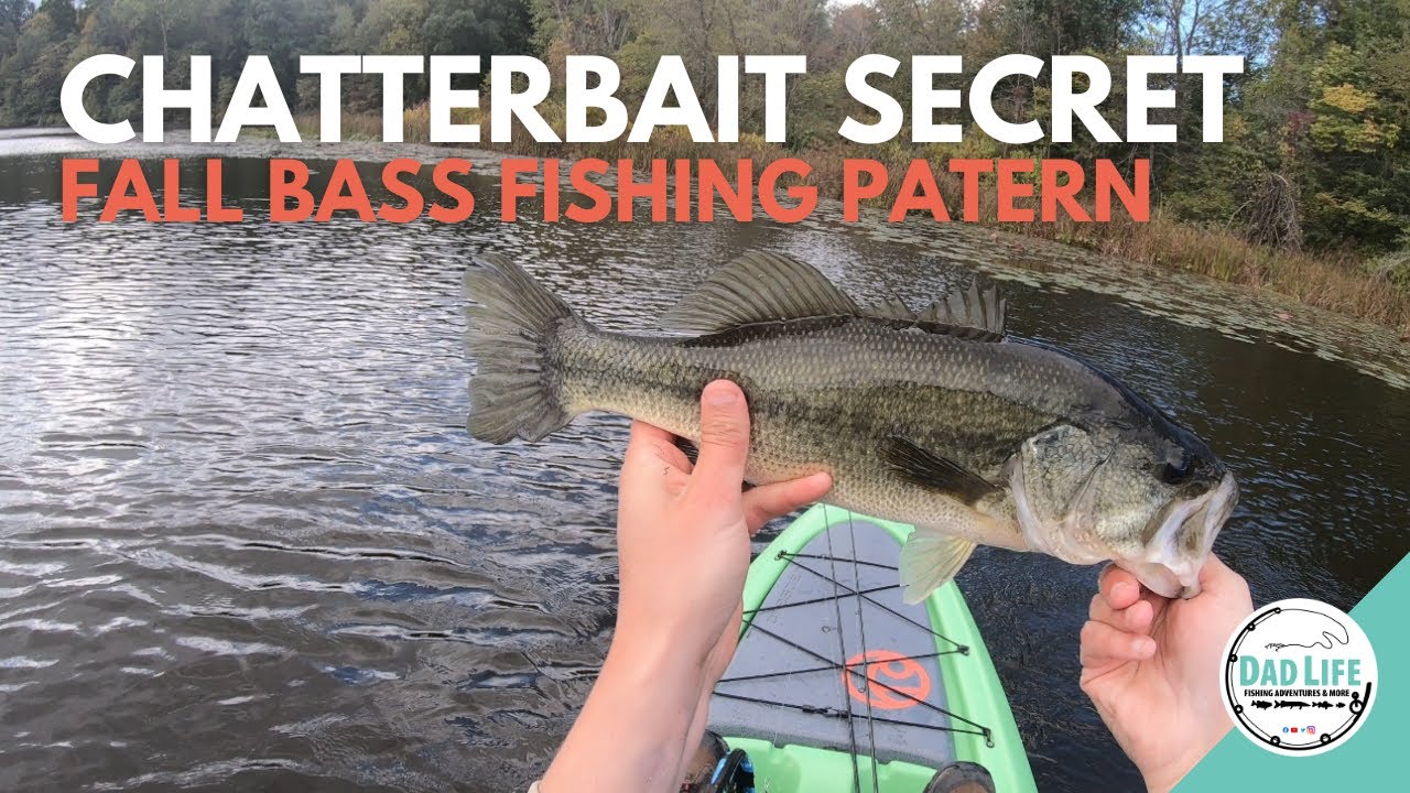 Chatterbait Secret Fall Lilly Pads Technique Robinson Lake Indiana