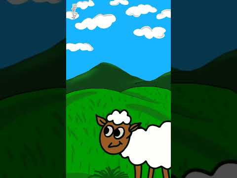 Funny sheeps #shorts #animation #shortvideo