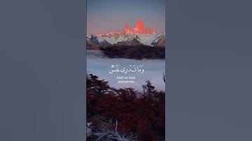 تلاوة عطرة من سورة لقمان للقارئ ياسر الدوسري #quran #قرآن #تلاوة_خاشعة #أذكار #اذكروا_الله_يذكركم