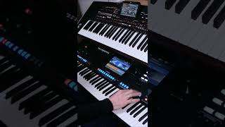 German Golden Mix I Live Synth Performance I Yamaha & Korg I Bad Boys Blue