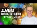 ДЕВА ГОРОСКОП НА АВГУСТ 2024, ПРОГНОЗ НА НЕДЕЛЮ С 19 ПО 25 АВГУСТА 2024