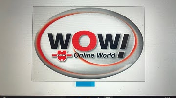Wow Car Diagnostic software Tutorial