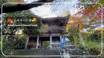 竹林寺 Youtube 竹林寺 Youtube