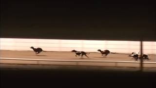 210315   Race 2