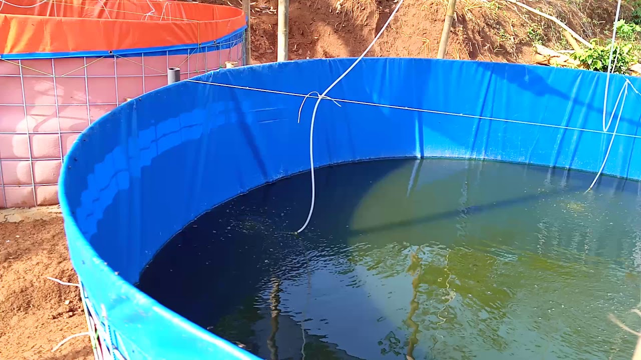  Kolam  Terpal  YouTube