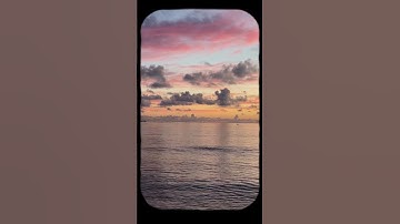 Social Media Video Editing Showreel | Instagram Reels, YouTube Shorts, Facebook Ads #brandvideos