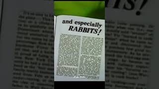 Tazmanian Devil - Looney Tunes Show | Warner Bros | Cartoon Network | 90' Kids | Toon Chetta #1#taz Tazmanian Devil - Looney Tunes Show | Warner Bros | Cartoon Network | 90' Kids | Toon Chetta #1#taz