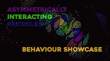 Asymmetrically interacting particles - Different behaviours