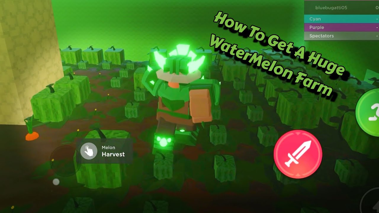 How To Get A Giant WaterMelon Farm! Roblox Bedwars YouTube