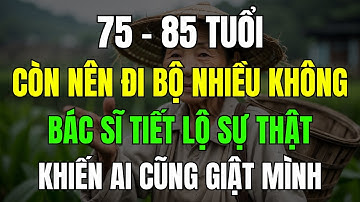 75 - 85 Tuổi Trở Lên Có Nên Tiếp Tục Đi Bộ Mỗi Ngày? Bác Sĩ Giải Đáp Thắc Mắc Khiến Ai Nghe Cũng Giậ