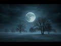 Instrumental 月光の子守唄 Instrumental 月光の子守唄