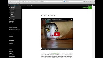 WordPress Basics: Posts and Pages