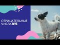 Марафон. Отрицательные числа. Урок №5 . Складываем числа с разными знаками.