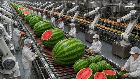 Inside a Modern Watermelon Factory: The Whole Process From Farm-Fresh Fruit to Viral Desserts