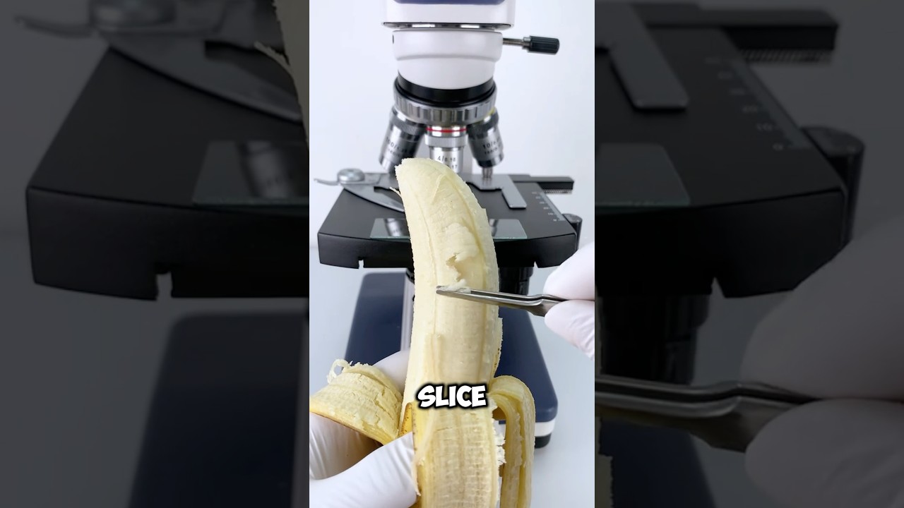 What Does Banana Look Like Under Microscope? #microscope #banana