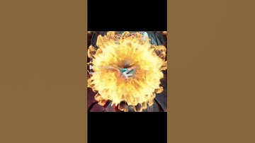 Thumbnail of BERANI COBA BUBBLEGUM MEWING WING WING WING WING ⁉️