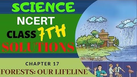 NCERT Solutions Class 7 Science Chapter 17 Forests: Our Lifeline