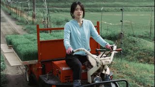 【米農家1年生】初トラクターで田植え