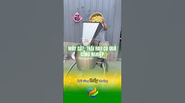 Bạn đang tìm máy cắt thái rau củ quả công nghiệp? #maythairaucu #maythucpham #thegioimaythucpham
