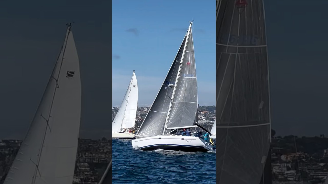 ⛵️Sailing All Year Long⛵️