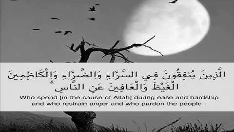 وسارعوا الى مغفرة من ربكم - من سورة آل عمران - القارئ هيثم الدخين