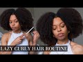 LAZY CURLY HAIR ROUTINE | Type 4 Natural Hair | AriannaLYF