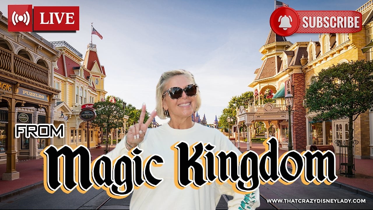 Magic Kingdom Rides/ Shows/ Parade 