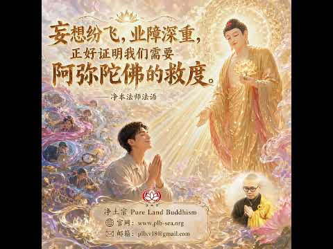 妄想纷飞，业障深重，正好证明我们需要阿弥陀佛的救度 | 净本法师法语
