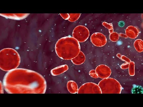Video: Kako izliječiti herpes: 15 koraka (sa slikama)