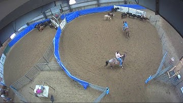 Big Sky Ranch Sorting Saddle Series #5 - #5 - Round #1 - Ride #4